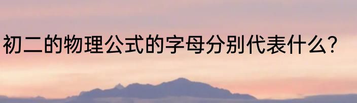 初二的物理公式的字母分别代表什么?