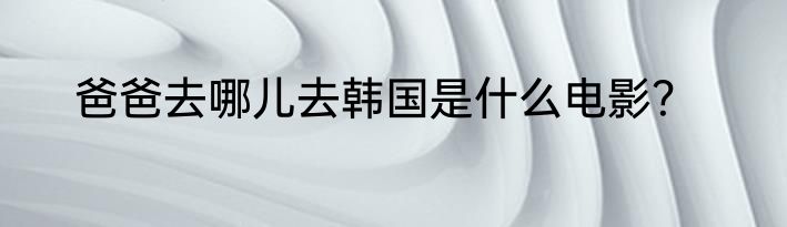 爸爸去哪儿去韩国是什么电影？