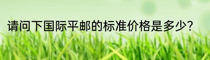 请问下国际平邮的标准价格是多少？