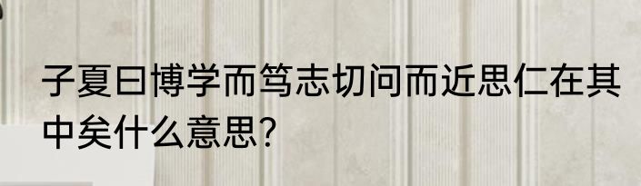 子夏曰博学而笃志切问而近思仁在其中矣什么意思？