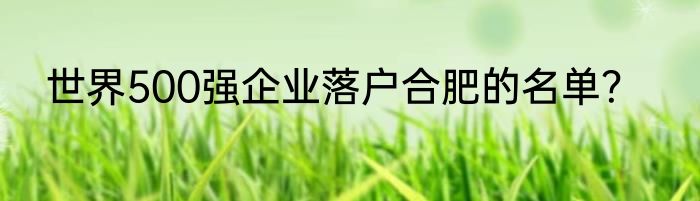 世界500强企业落户合肥的名单？