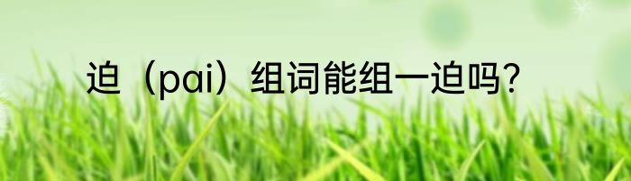 迫（pai）组词能组一迫吗？