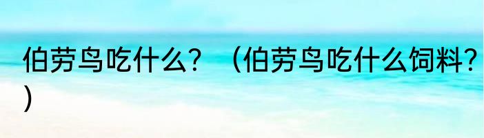 伯劳鸟吃什么？（伯劳鸟吃什么饲料？）