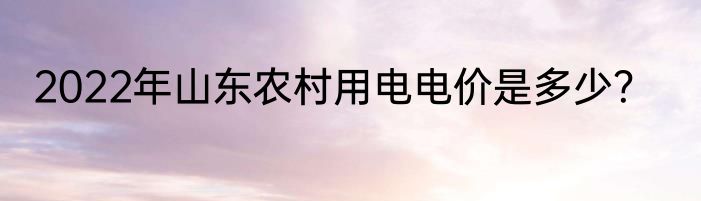 2022年山东农村用电电价是多少？