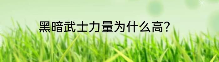 黑暗武士力量为什么高？
