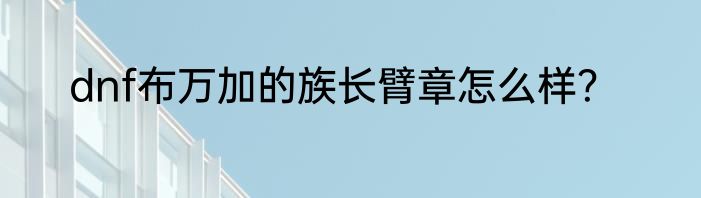 dnf布万加的族长臂章怎么样？