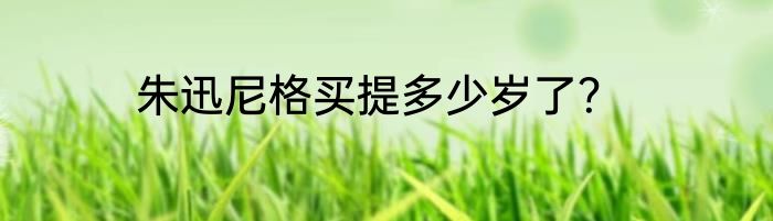 朱迅尼格买提多少岁了？