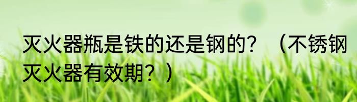 灭火器瓶是铁的还是钢的？（不锈钢灭火器有效期？）