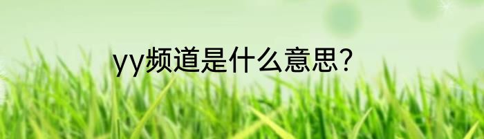 yy频道是什么意思？