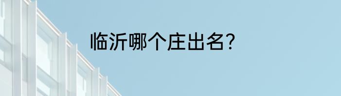 临沂哪个庄出名？
