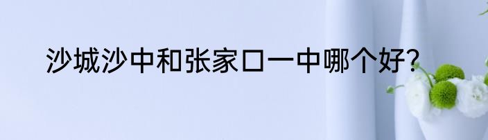 沙城沙中和张家口一中哪个好？
