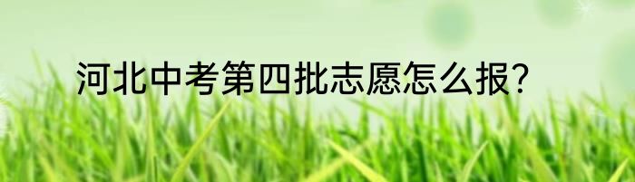 河北中考第四批志愿怎么报？