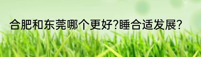 合肥和东莞哪个更好?睡合适发展？