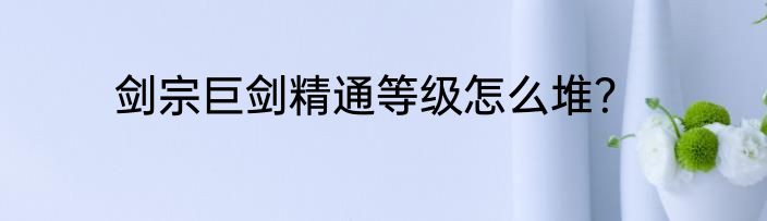 剑宗巨剑精通等级怎么堆？