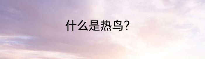 什么是热鸟？