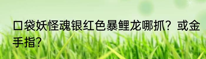 口袋妖怪魂银红色暴鲤龙哪抓？或金手指？