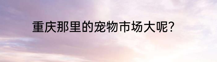重庆那里的宠物市场大呢？
