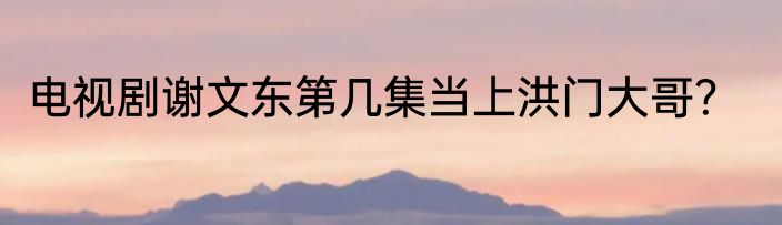 电视剧谢文东第几集当上洪门大哥？