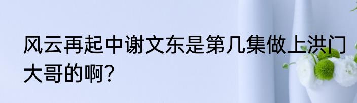 风云再起中谢文东是第几集做上洪门大哥的啊？