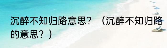 沉醉不知归路意思？（沉醉不知归路的意思？）