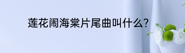 莲花闹海棠片尾曲叫什么？