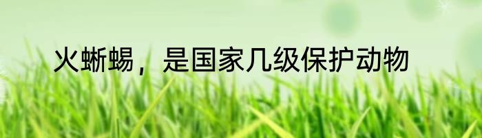 火蜥蜴，是国家几级保护动物