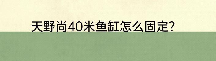天野尚40米鱼缸怎么固定？