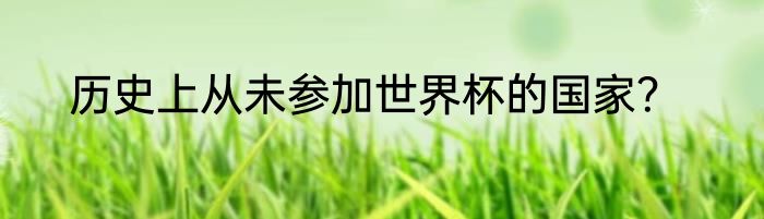 历史上从未参加世界杯的国家？