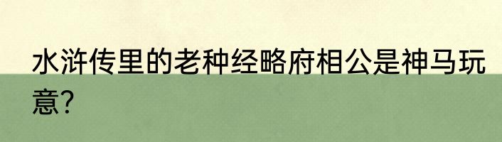 水浒传里的老种经略府相公是神马玩意？