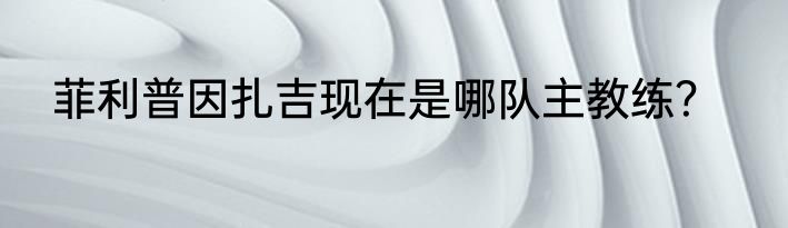 菲利普因扎吉现在是哪队主教练？