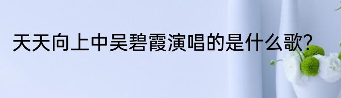 天天向上中吴碧霞演唱的是什么歌？