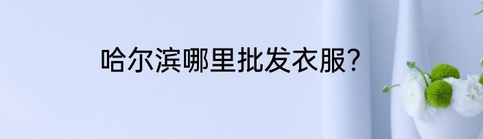 哈尔滨哪里批发衣服？