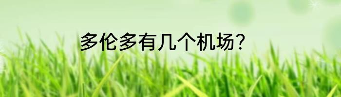 多伦多有几个机场？