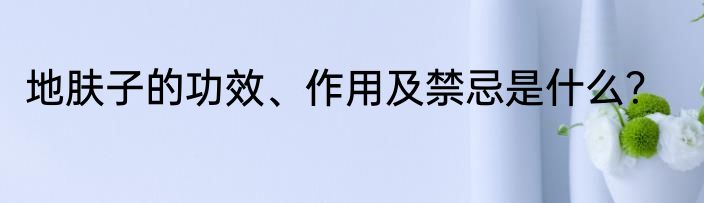 地肤子的功效、作用及禁忌是什么？