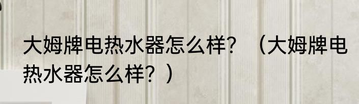 大姆牌电热水器怎么样？（大姆牌电热水器怎么样？）