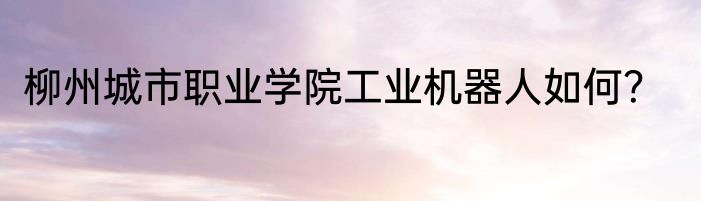 柳州城市职业学院工业机器人如何？