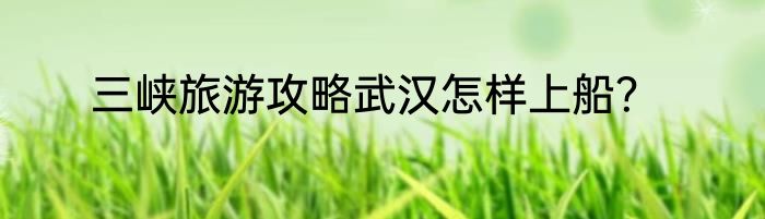 三峡旅游攻略武汉怎样上船？