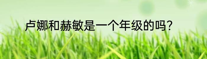 卢娜和赫敏是一个年级的吗？