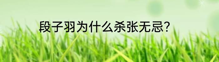 段子羽为什么杀张无忌？