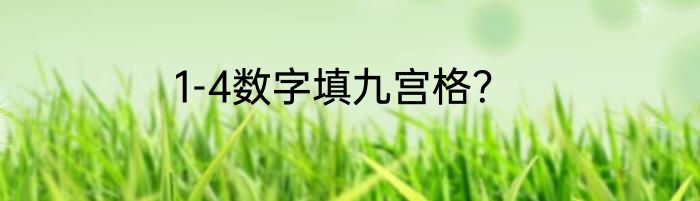 1-4数字填九宫格？
