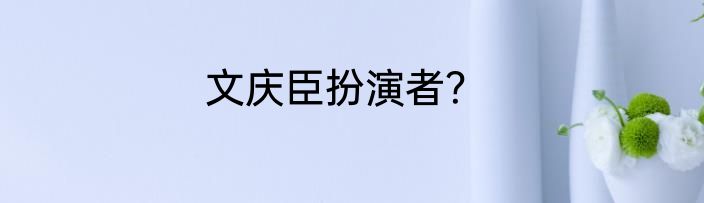 文庆臣扮演者？