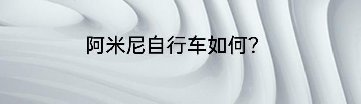 阿米尼自行车如何？