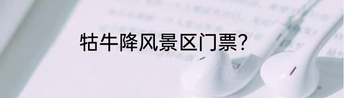 牯牛降风景区门票？