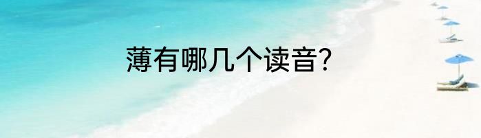薄有哪几个读音？
