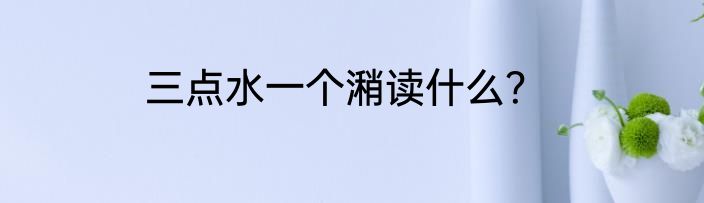三点水一个潲读什么？