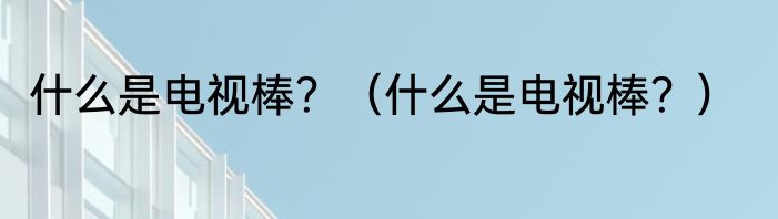 什么是电视棒?(什么是电视棒?)