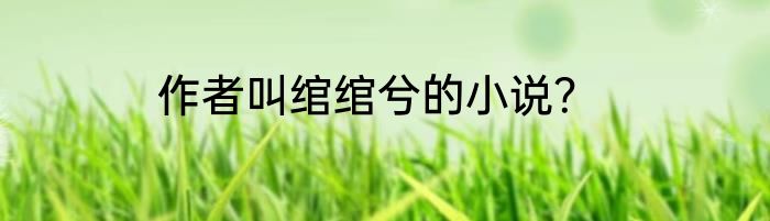 作者叫绾绾兮的小说？