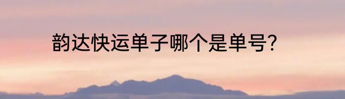 韵达快运单子哪个是单号？