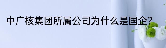 中广核集团所属公司为什么是国企？