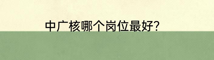中广核哪个岗位最好？